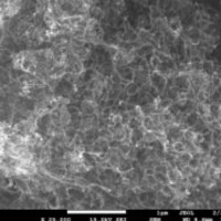 FT9000 series powder