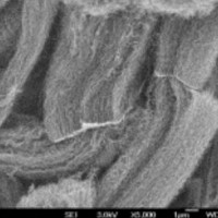 FT7000 series powder