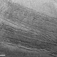 FT6000 series powder